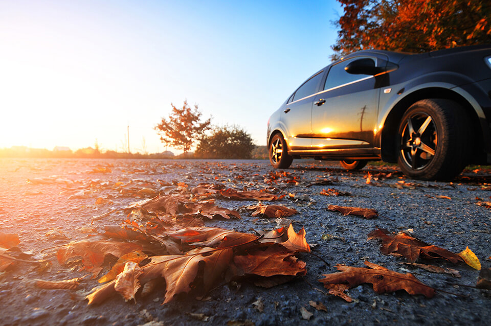 Car with fallen leaves on road