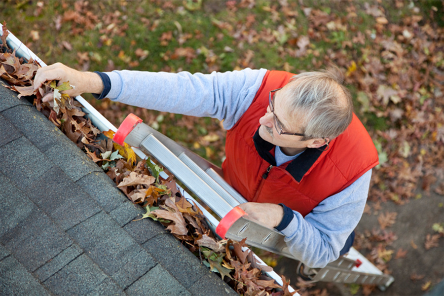 Tips To Stay Safe During Fall Cleanup