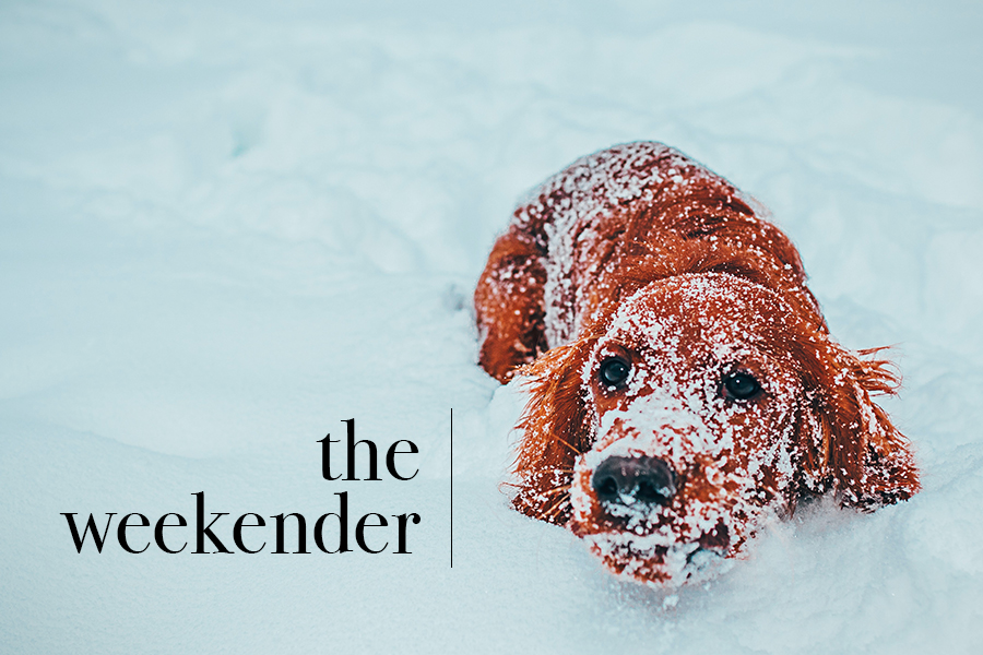 The Weekender