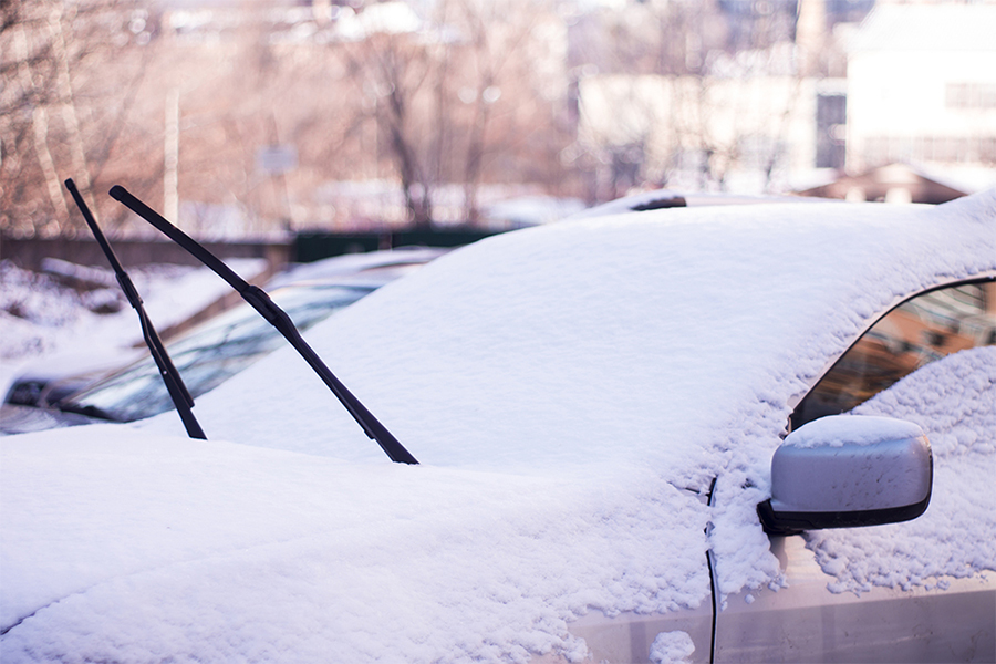 Windshield Wiper Blades
